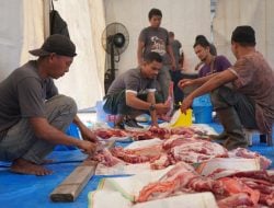 PLN UID Sulselrabar Bagikan 5 Ton Daging Kurban