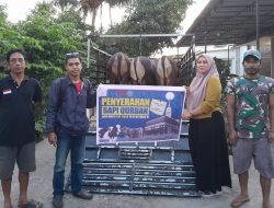 Huadi Group Distribusi 14 Sapi Qurban untuk Warga Bantaeng