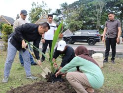 Andi Bataralifu Hadirkan Varietas Pohon Kelapa Bido di Kawasan Wisata Rumah Adat Atakkae