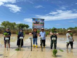 Hadiri Syukuran Panen Raya Padi di Pasimasunggu Timur, Basli Ali Bantu Alsintan Petani Sawah Desa Ujung