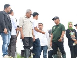 Legislator Hanura Apresiasi Penanaman Mangrove
