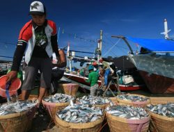 Januari – Juni 2024, Hasil Tangkapan Ikan di Sulsel Turun 1.700 Ton Lebih