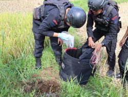 Tim Jibom Gegana Brimob Polda Sulsel Bersama Polres Tator, Berhasil Musnahkan Granat yang Ditemukan Warga