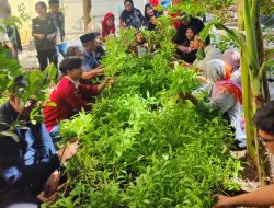 Terapkan Pertanian Modern, Unhas Panen Sayur Bersama Masyarakat