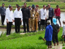 Presiden Jokowi Tinjau Bantuan Pompa Air untuk Petani di Desa Jaling Kabupaten Bone