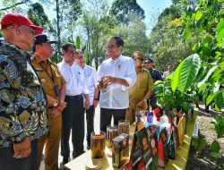 Presiden dan Mentan Amran Pacu Produksi Kopi dan Peningkatan Kesejahteraan Petani di Lampung Barat