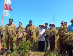 Hadiri Musyawarah Tani Abulo Sibatang, Indira Yusuf Ismail Dorong Inovasi Pertanian di Kota Makassar