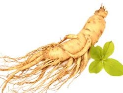 Manfaat Ginseng: Dari Penurunan Berat Badan hingga Kecantikan Kulit