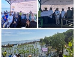 Luas Hutan Mangrove Sulsel Capai 21 Ribu Hektar, Ekowisata Jadi Alternatif Potensial