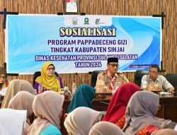 Dinkes Sinjai Sosialisasikan Program Pappadeceng Gizi