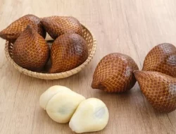 Manfaat Tersembunyi dari Buah Salak untuk Kesehatan