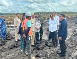 Mentan Amran Tegaskan Pertanian Merauke Langkah Nyata Menuju Lumbung Pangan Dunia