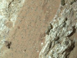 Temuan NASA, Terduga Fosil ‘Alien’ Di Planet Mars