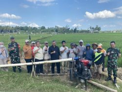 Program Pompanisasi Kementan Tingkatkan Produktivitas Pertanian di Tengah Krisis El Nino