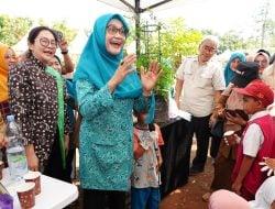 Dinas TPH-Bun Sulsel Garap Taman Herbal di Sudiang Makassar