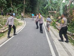 Personel Polres Tator Gercep Bantu Warga Bersihkan Pohon Tumbang 