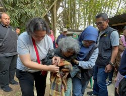 Bakti Sosial Kemensos di Mamasa, Sentra Terpadu Kartini Temanggung Garap Dua Kecamatan