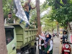 DLH Kota Makassar Gandeng Bawaslu Bersihkan APK Terpaku di Pohon