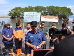 Tingkatkan Kesadaran Mitigasi Bencana, Pj Bupati Pinrang Lakukan Penanaman Mangrove