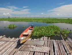 Populasi Ikan Danau Tempe Kian Susut Gegara Ilegal Fishing Makin Marak