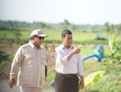 Presiden Prabowo Didampingi Mentan Amran Kunjungan Perdana ke Lahan Pertanian Merauke