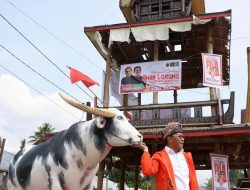 Danny Pomanto Janji Kembalikan Simbol Budaya Toraja ke Rumah Jabatan Gubernur Sulsel