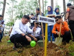 Jelang Peringatan Hari Jadi Gowa ke-704, Pemkab Gowa Tanam Pohon di Lahan Kritis