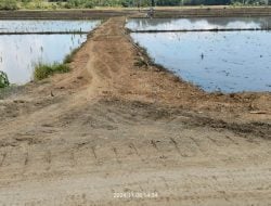 Tanpa Papan Proyek, Pekerjaan Jalan Tani Lapung Cebbo di Wajo Diduga Mark-up