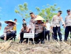 Komitmen Dukung Program Ketahanan Pangan Nasional, Kapolres Parepare Turun Langsung Melakukan Penanaman Bibit Jagung