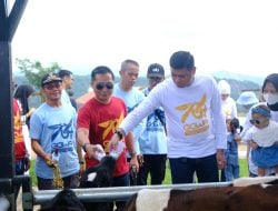 Bupati Gowa Lihat Langsung Uji Coba Cimory Dairyland di Parangloe 