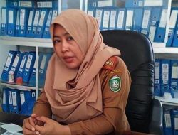 Calon PPPK Kota Parepare Mulai Lakukan Kelengkapan Berkas, Wajib Isi DRH Hingga Legalisir Ijazah