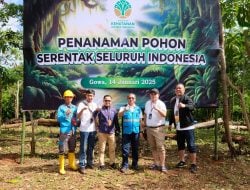 Dukung Program Penanaman Pohon Serentak Seluruh Indonesia, PLN Tanami Lahan Seluas 17 Ha di Sulawesi