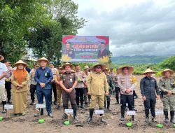 Pj Walikota Parepare Hadiri Penanaman Jagung Serentak 1 Juta Hektare Wujudkan Program Ketahanan Pangan Presiden RI