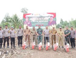 Dukung Swasembada Pangan, Pemkab Pinrang Turut Tanam Jagung Serentak di Mattiro Bulu