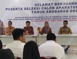 3.806 Tenaga Honorer di Wajo Bakal Berstatus PPPK