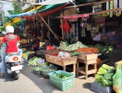 Harga Cabai Rawit di Makassar Melonjak Pasca Nataru, Disdag : Hanya Sementara