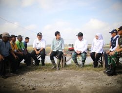 Sering Turun ke Sawah, Mentan Amran Dipuji Wapres Gibran Hingga Presiden Prabowo
