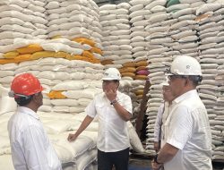 Kepala Staf Kepresidenan Tinjau Gudang Bulog Panaikang, Bahas Kualitas Beras untuk Papua