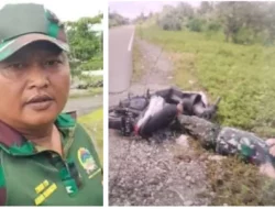 Misi Kemanusiaan Berakhir Tragis, Prajurit TNI Tewas Dibantai KKB OPM