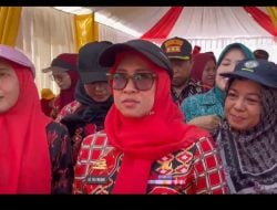 Bupati Gowa Panen Perdana Jagung di Romangloe: Dorong Inovasi dan Perbaikan Infrastruktur Petani