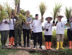 Swasembada Pangan, Wagub Sulbar Dorong Perbaikan Irigasi dan Cetak Sawah 