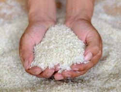 Beras Food Station Cipinang Diperiksa di 5 Laboratorium Berbeda, Kementan: Tidak Sesuai Standar Mutu dan Dijual di Atas HET